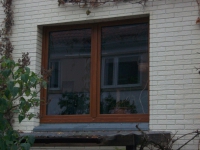 2-flügeliges Fensterelement im Farbton Golden Oak